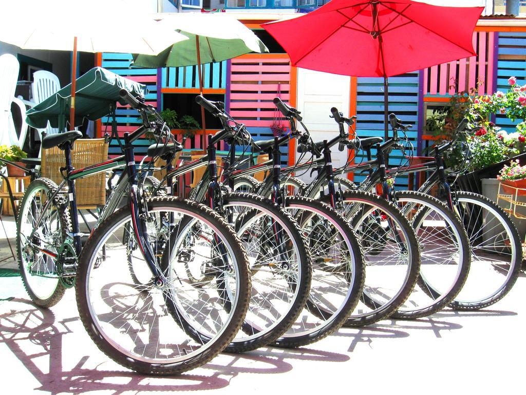 Street Garden Hostel Βίνα Ντελ Μαρ Εξωτερικό φωτογραφία