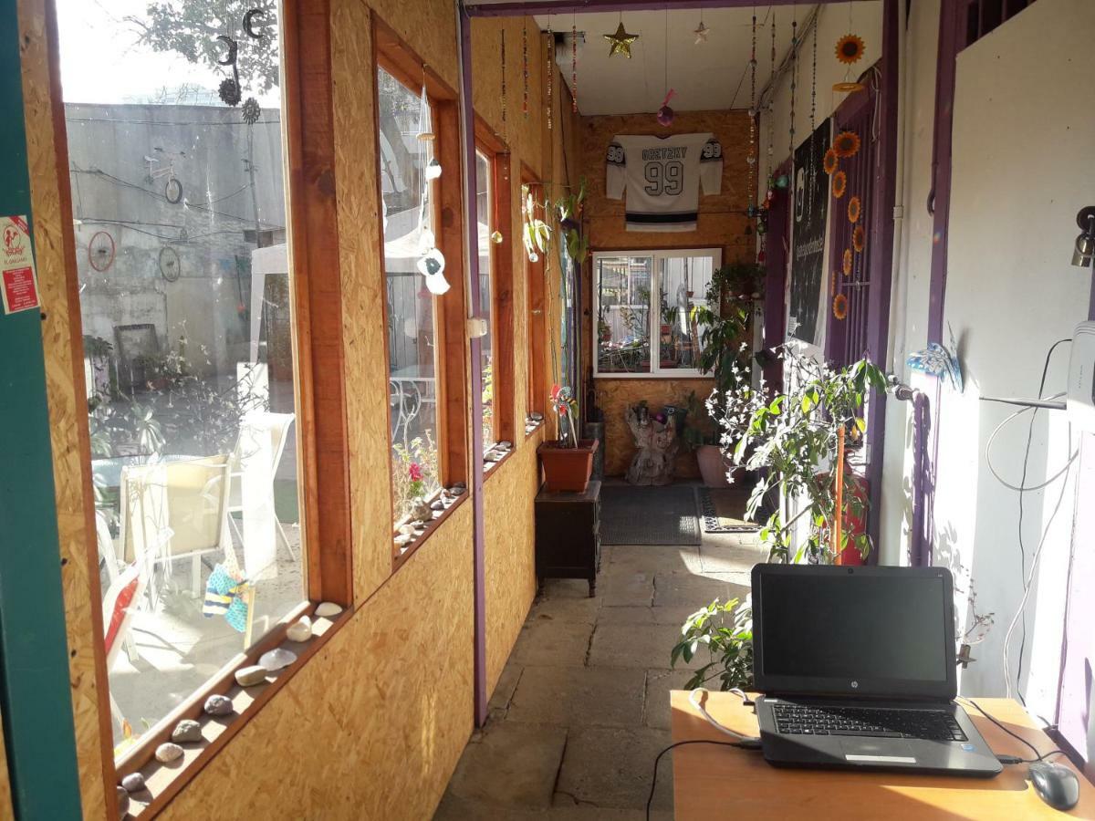 Street Garden Hostel Βίνα Ντελ Μαρ Εξωτερικό φωτογραφία